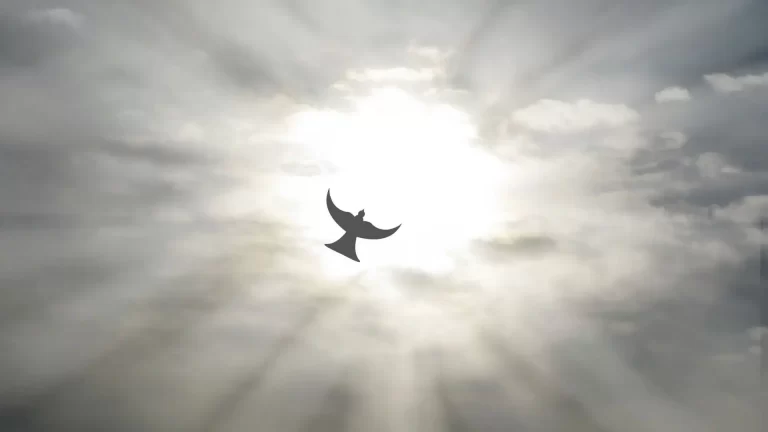 Bez Zegarka Osada nad Jeziorem Rospuda Filipow Czwarty